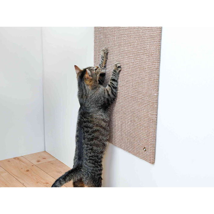 Trixie Poste Rascador XXL para Gatos - Tapete de Sisal y Hierba Gatera - 50 x 70 cm - Gris Pardo