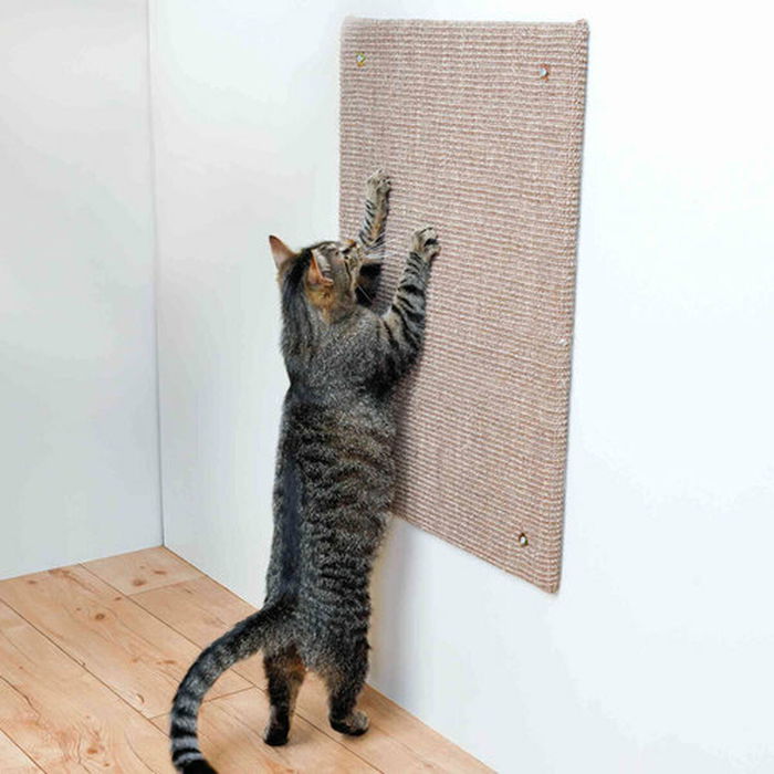 Trixie Poste Rascador XXL para Gatos - Tapete de Sisal y Hierba Gatera - 50 x 70 cm - Gris Pardo