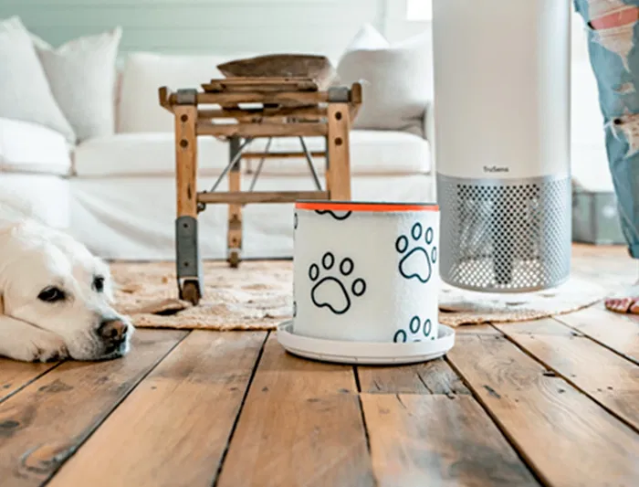 Leitz Filtro de Carbono HEPA Z-2000/Z-2500 para Purificador de Aire - Ideal contra Olores, Alergias, Gripe y Mascotas