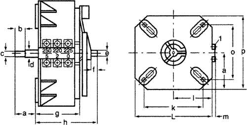 Thalheimer-Trafowerke Autotransformador Regulable 230VAC 1-250V 10A