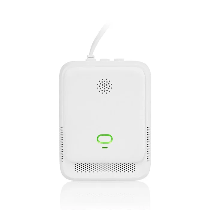 Smartwares FGA-13410 Detector de gas para Butano, Metano y Propano