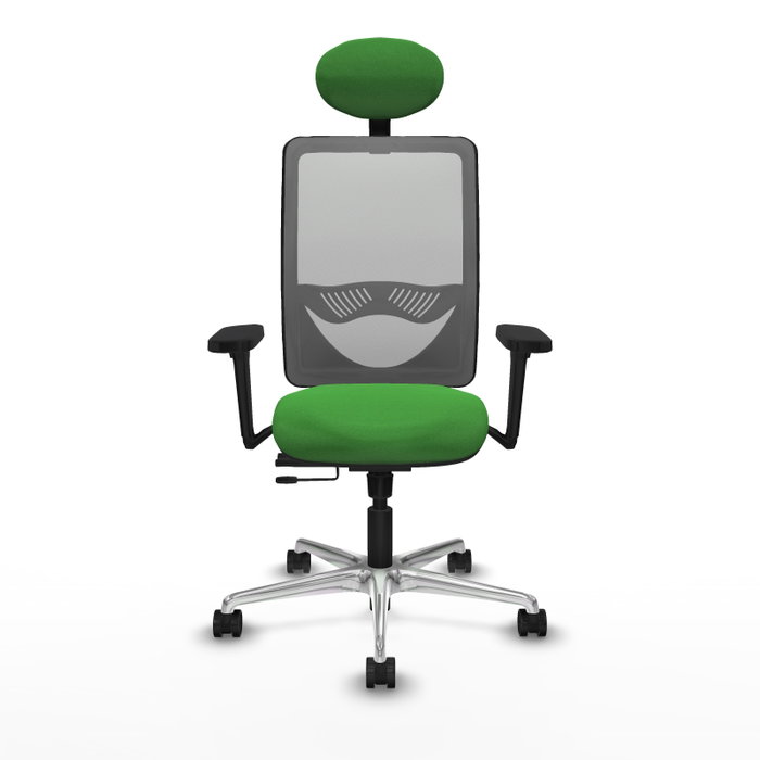 PIQUERAS Y CRESPO Silla de oficina Zulema con mecanismo Sincro/Traslack, Verde y Gris