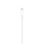 Apple Cable MUQW3ZM/A de conector Lightning a USB A (USB 2.0) para carga y sincronización, 1 metro, color Blanco