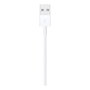 Apple cable apple lightning a usb v2 1m