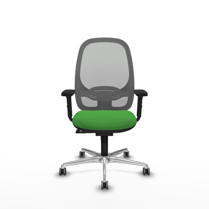 PIQUERAS Y CRESPO Silla de oficina Cilanco con mecanismo Sincro Verde y Gris PIQUERAS Y CRESPO Silla de oficina Cilanco con mecanismo Sincro Verde y Gris