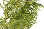 DKD Home Decor Planta de Bambú Verde PE 21x21,5x155 cm