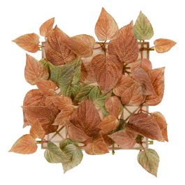 Panel Marrón Pvc Jardín 30 X 30 cm (Set de 12)