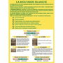 BHS Fertilizantes Verdes Mostaza Blanca 500g