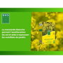 BHS Fertilizantes Verdes Mostaza Blanca 500g
