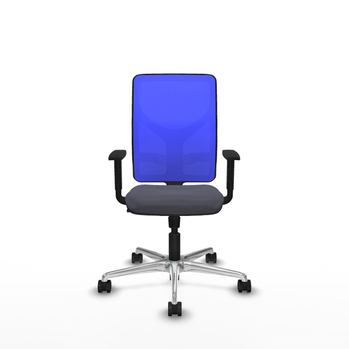 PIQUERAS Y CRESPO Silla de oficina Motilla con mecanismo Sincro, Gris oscuro y Azul PIQUERAS Y CRESPO Silla de oficina Motilla con mecanismo Sincro, Gris oscuro y Azul