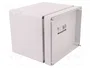 ELEKTRO-PLAST NASIELSK Carcasa Universal Industrial Gris