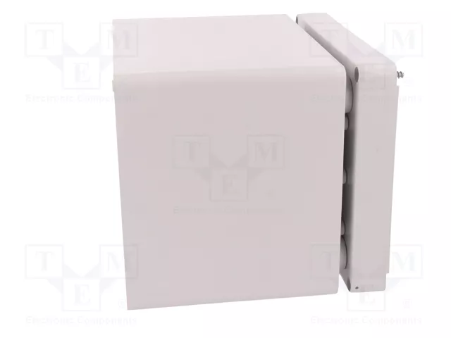 ELEKTRO-PLAST NASIELSK Carcasa Universal Industrial Gris