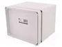 ELEKTRO-PLAST NASIELSK Carcasa Universal Industrial Gris