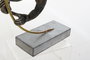 DKD Home Decor Figura de Mono en Resina (Surtido de 2 Piezas)