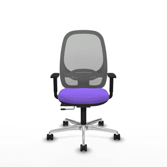 PIQUERAS Y CRESPO Silla de oficina Cilanco con mecanismo Sincro/Traslack, Lila y Gris PIQUERAS Y CRESPO Silla de oficina Cilanco con mecanismo Sincro/Traslack, Lila y Gris
