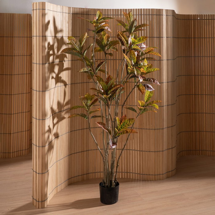 Planta Croton Rojo Goma Decoración 150 cm