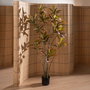 Planta Croton Rojo Goma Decoración 150 cm