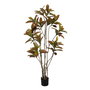 Planta Croton Rojo Goma Decoración 150 cm