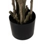 Ixia Planta Croton Rojo Goma Decoración 150 cm