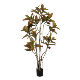 Ixia Planta Croton Rojo Goma Decoración 150 cm