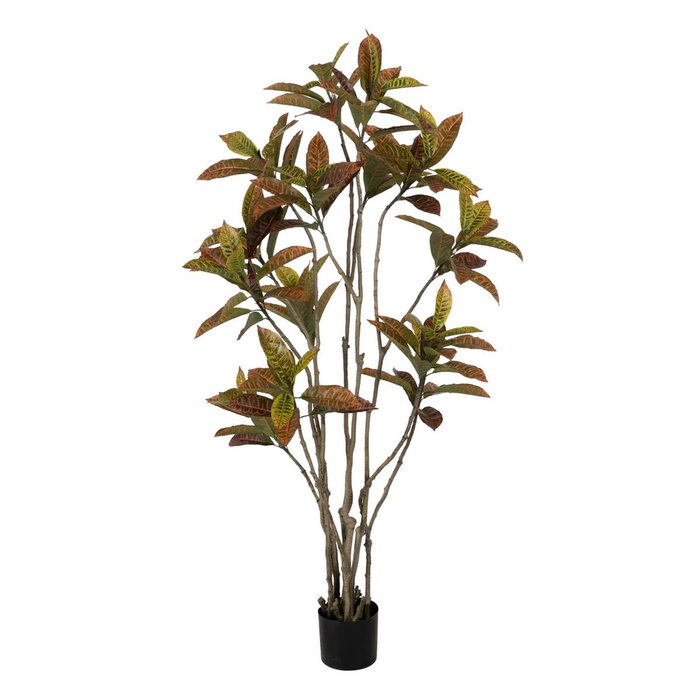 Ixia Planta Croton Rojo Goma Decoración 150 cm Ixia Planta Croton Rojo Goma Decoración 150 cm