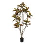 Ixia Planta Croton Rojo Goma Decoración 150 cm