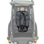 Burley Asiento Acolchado Bebé Portabebés Remolque Bicicleta 3-12 Meses Arnés 5 Puntos