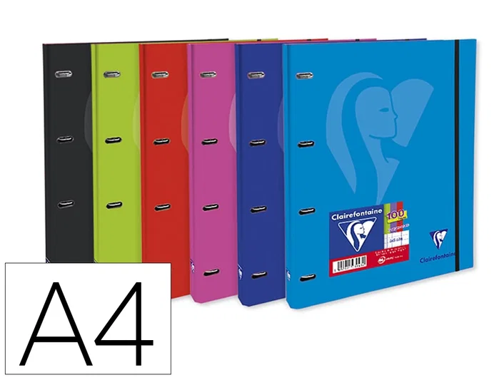 CLAIREFONTAINE Mimesys A4+ 30mm 4an.mixtas Colores Vivos (Set de 5) CLAIREFONTAINE Mimesys A4+ 30mm 4an.mixtas Colores Vivos (Set de 5)
