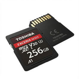 Toshiba Tarjeta SD Exceria R100 N203 256GB
