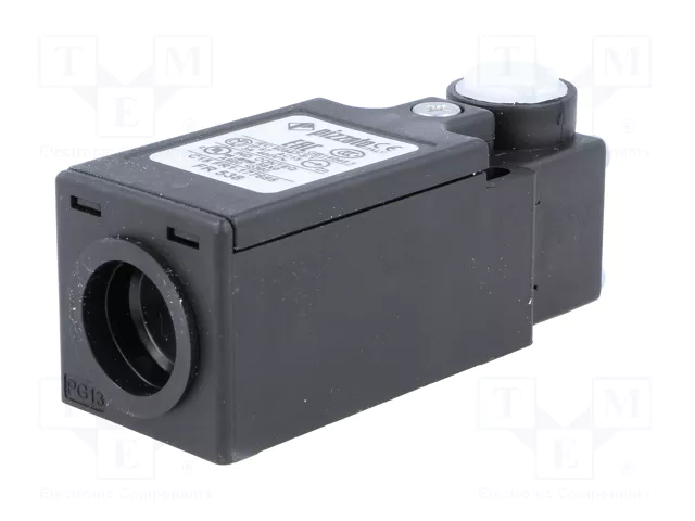 PIZZATO ELETTRICA FR 538 Interruptor de fin de carrera sin palanca NO + NC 10A