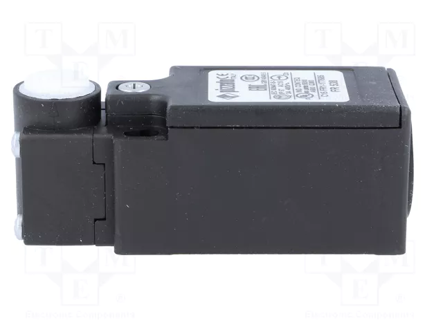 PIZZATO ELETTRICA FR 538 Interruptor de fin de carrera sin palanca NO + NC 10A
