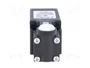 PIZZATO ELETTRICA FR 538 Interruptor de fin de carrera sin palanca NO + NC 10A