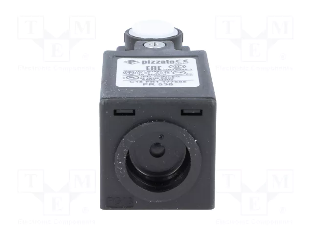 PIZZATO ELETTRICA FR 538 Interruptor de fin de carrera sin palanca NO + NC 10A