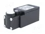 PIZZATO ELETTRICA FR 538 Interruptor de fin de carrera sin palanca NO + NC 10A