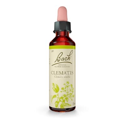 BACH Clematis (Clemátide) Nº9 20 ml BACH Clematis (Clemátide) Nº9 20 ml