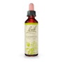 BACH Clematis (Clemátide) Nº9 20ml