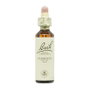 BACH Clematis (Clemátide) Nº9 20ml