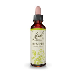 Bach Original Clematis/Clematide Nº9 Flores de Bach 20ml - Falta de Atención y Cansancio