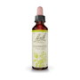 Bach Original Clematis 20 ml