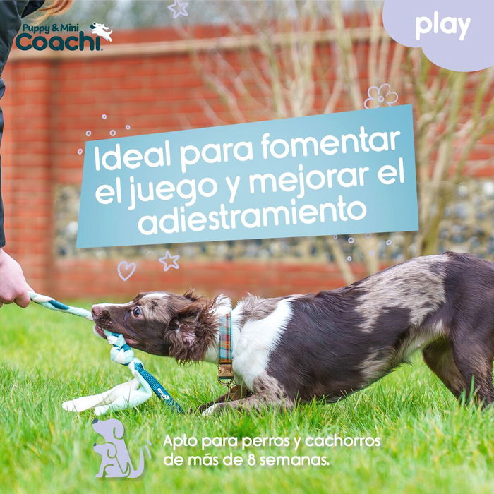 Arnés para Perro Coachi