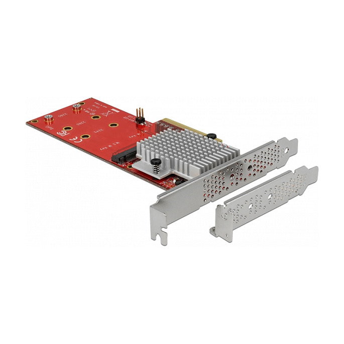 DeLOCK 90305 Tarjeta PCIe x8 a 2 x M.2 NVMe Interno, Chipset ASM2824, PCIe 3.0, Bajo Perfil, 32 Gbit/s, para Windows y Linux