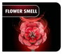 Revell Dream of Roses Flores de Madera