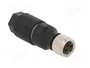 LAPP Conector M8 hembra de 3 pines recto IDC
