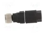 LAPP Conector M8 hembra de 3 pines recto IDC