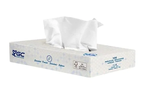 GC Pañuelos Faciales 2 Capas Caja 100 Unidades Blanco GC Pañuelos Faciales 2 Capas Caja 100 Unidades Blanco