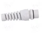BM GROUP Sello aislante PG16 con manguito