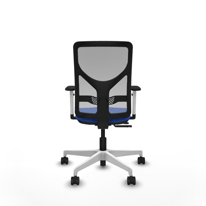 PIQUERAS Y CRESPO Silla de oficina Motilla con mecanismo Sincro/Traslack, Azul y Gris PIQUERAS Y CRESPO Silla de oficina Motilla con mecanismo Sincro/Traslack, Azul y Gris