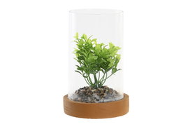 DKD Home Decor Planta PE y Cristal 12x12x18 Surtida