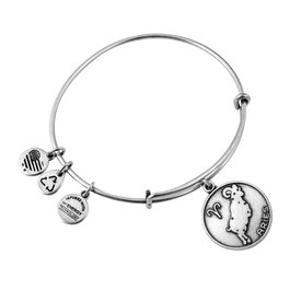 Alex And Ani Pulsera ARIES II Gris