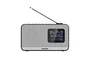 Panasonic RF-D15 Radio Digital Portátil con DAB+/FM, 3W, Bluetooth, Pantalla LCD a Color, MP3, Negro y Plata